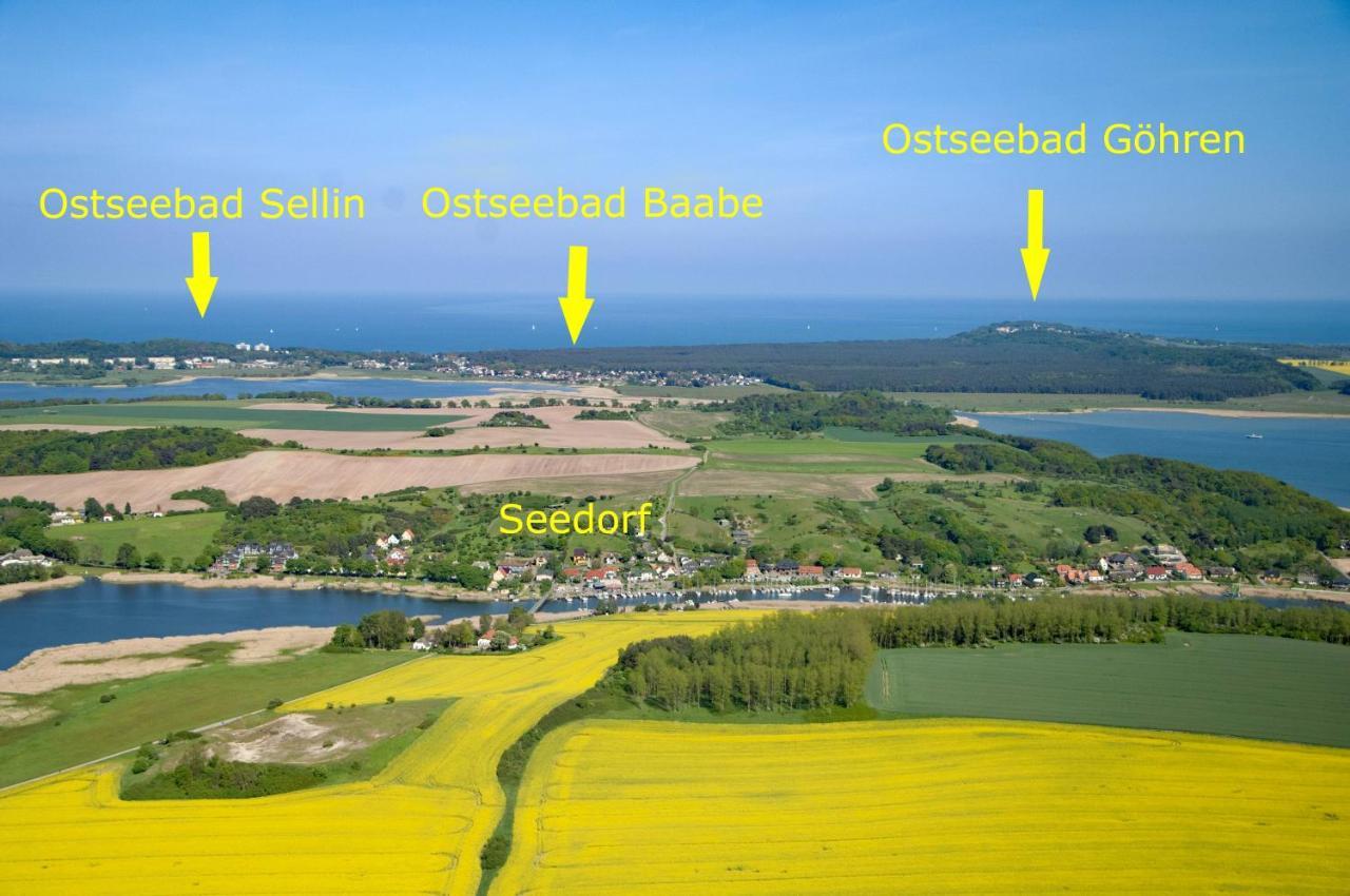 Ostseebad Sellin - Ot Seedorf Appartement Mit Seeblick Eksteriør bilde